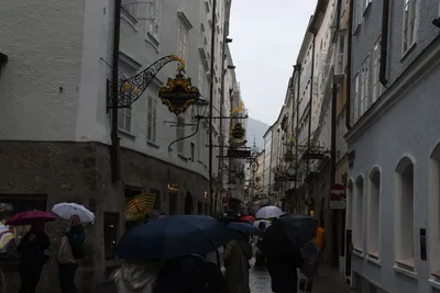 DSC_6213 (Large).JPG